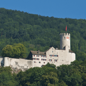 [Translate to Deutsch (Schweiz):] 