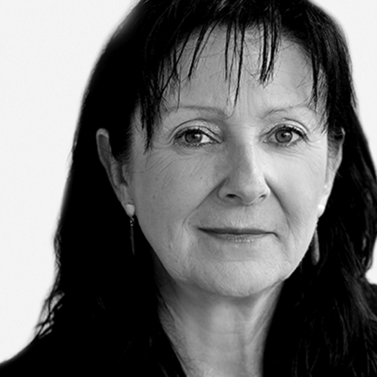 Camlog Veranstaltung Referentin BW Silke Schliep Camlog Veranstaltung Referentin BW Silke Schliep