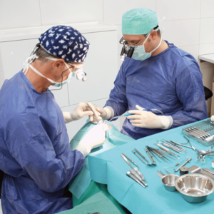 [Translate to Deutsch (Schweiz):] 