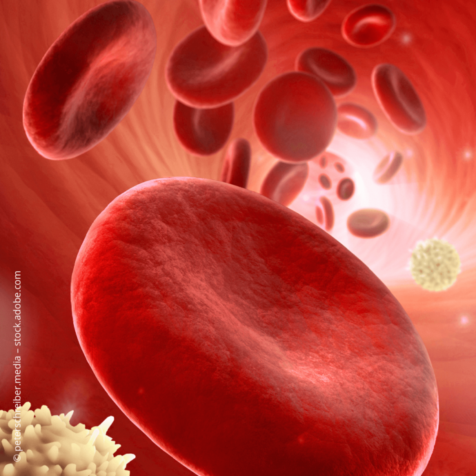 [Translate to Deutsch (Schweiz):] 