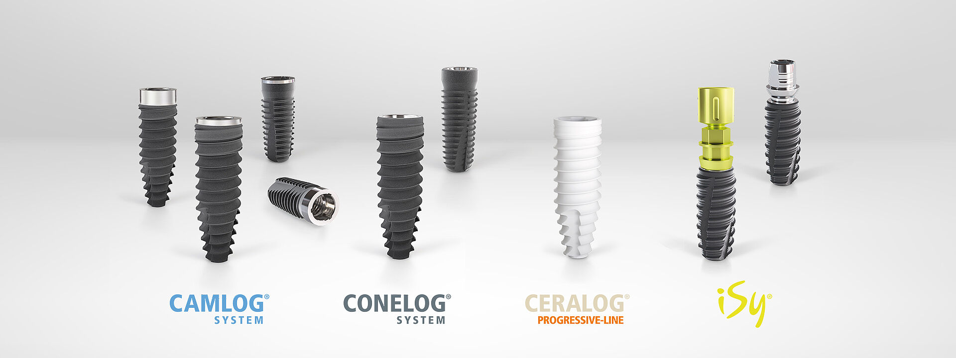 Das Banner zeigt die Implantatsysteme von Camlog vor einem weiß-grauen Hintergrund. Mehrere Implantate stehen nebeneinander: CAMLOG Implantate, CONELOG Implantate, ein CERALOG Implantat und zwei iSy Implantate