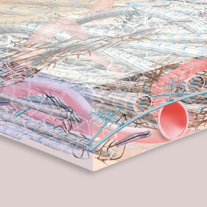 [Translate to Deutsch (Schweiz):] 