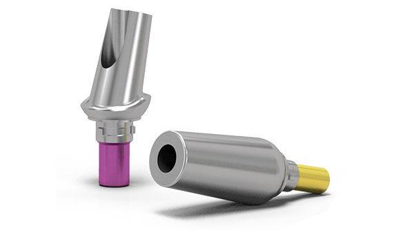 CAMLOG Prosthetics Esthomic and Universal abutments